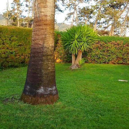 Villa Sotiroulla Kato Yialia Ngoại thất bức ảnh